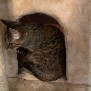 Meet your Posher, Teresa